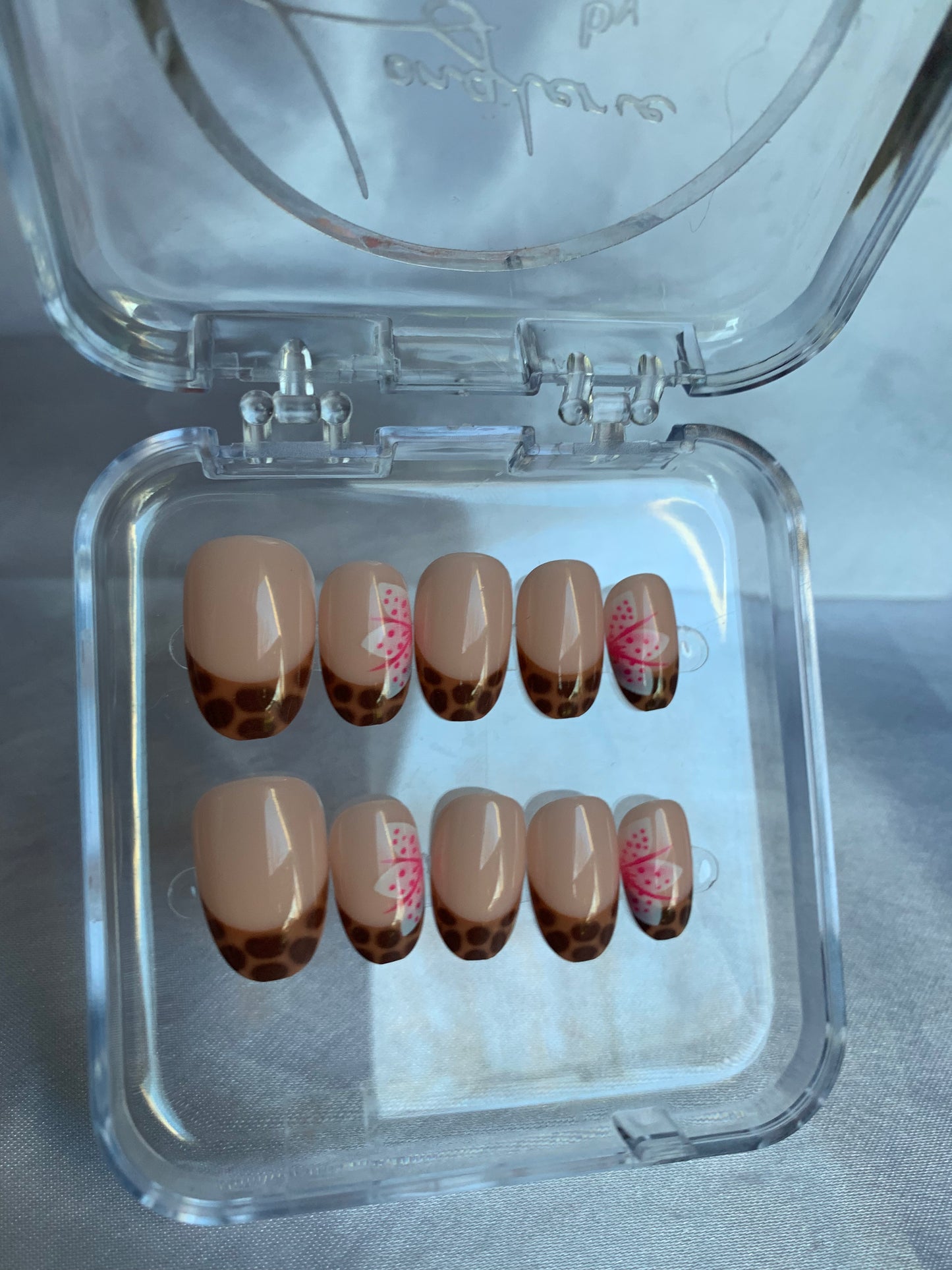 Turtle brown 🐢🤎