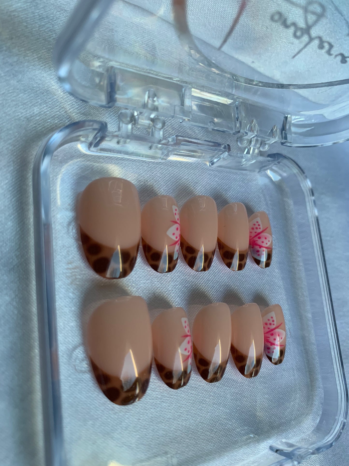 Turtle brown 🐢🤎